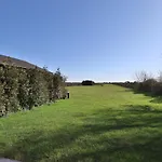 Lönhus Terpstich